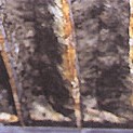 mold Typical Bag Filter with Mold Growth